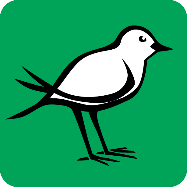 Kurse zu Natur und Umwelt